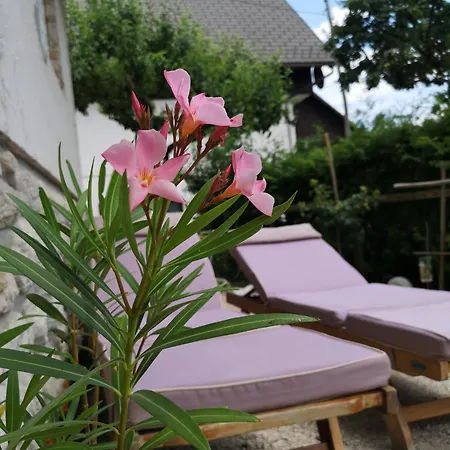 Apartma Oreh Ziba Appartamento Bohinj