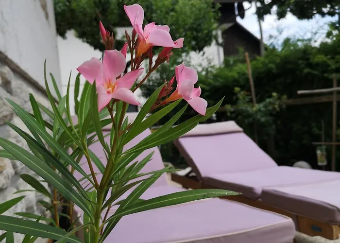 Apartma Oreh Ziba Appartamento Bohinj